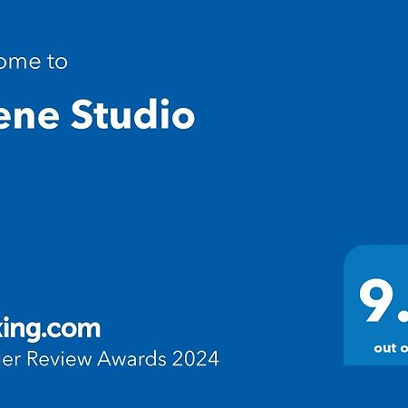 Silene Studio Craiova Extérieur photo