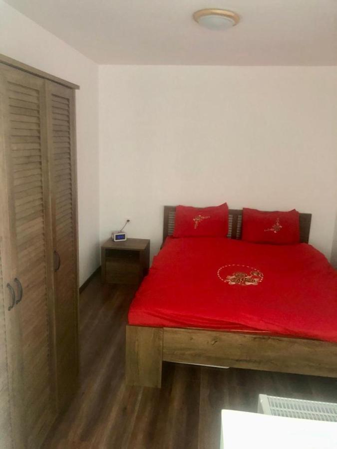 Silene Studio Craiova Extérieur photo