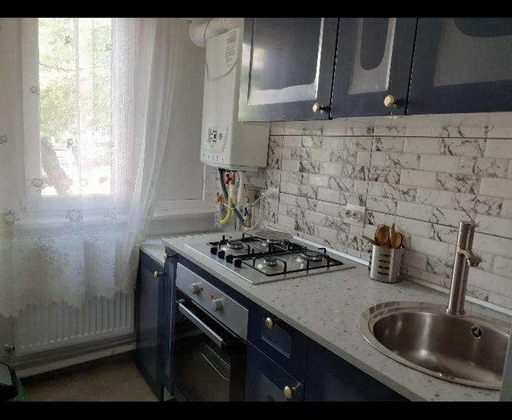 Silene Studio Craiova Extérieur photo