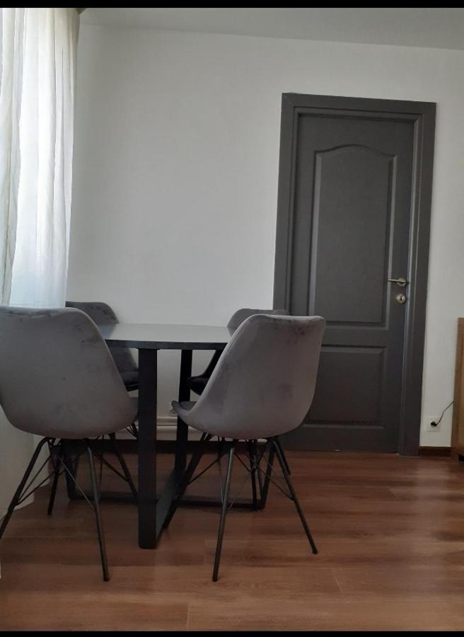 Silene Studio Craiova Extérieur photo