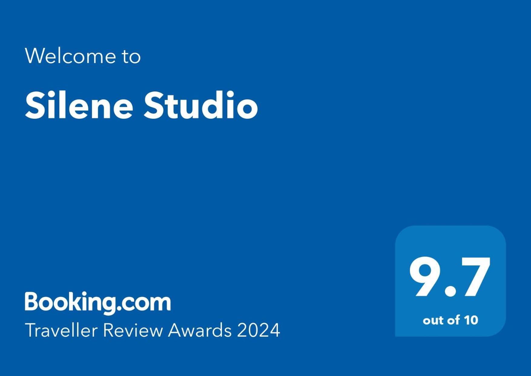 Silene Studio Craiova Extérieur photo