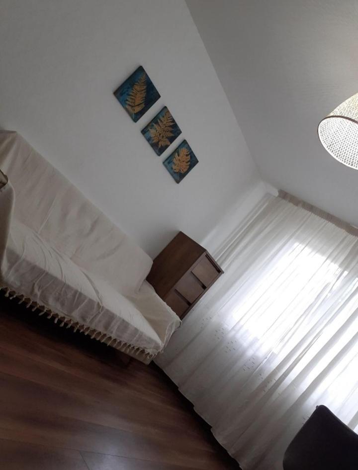 Silene Studio Craiova Extérieur photo